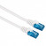 Hama Nätverk CAT6 UTP Blister Vit