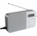 Sony ICF-M780SL